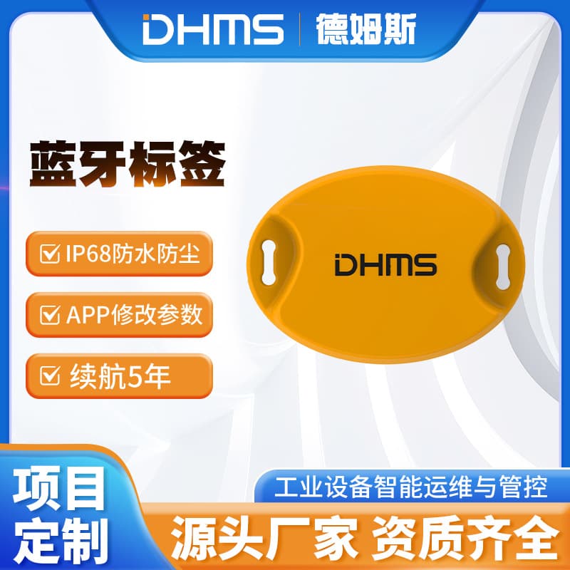 IP68 Rated Bluetooth Tag DMB1, Battery-Powered with 5-Year Lifespan
