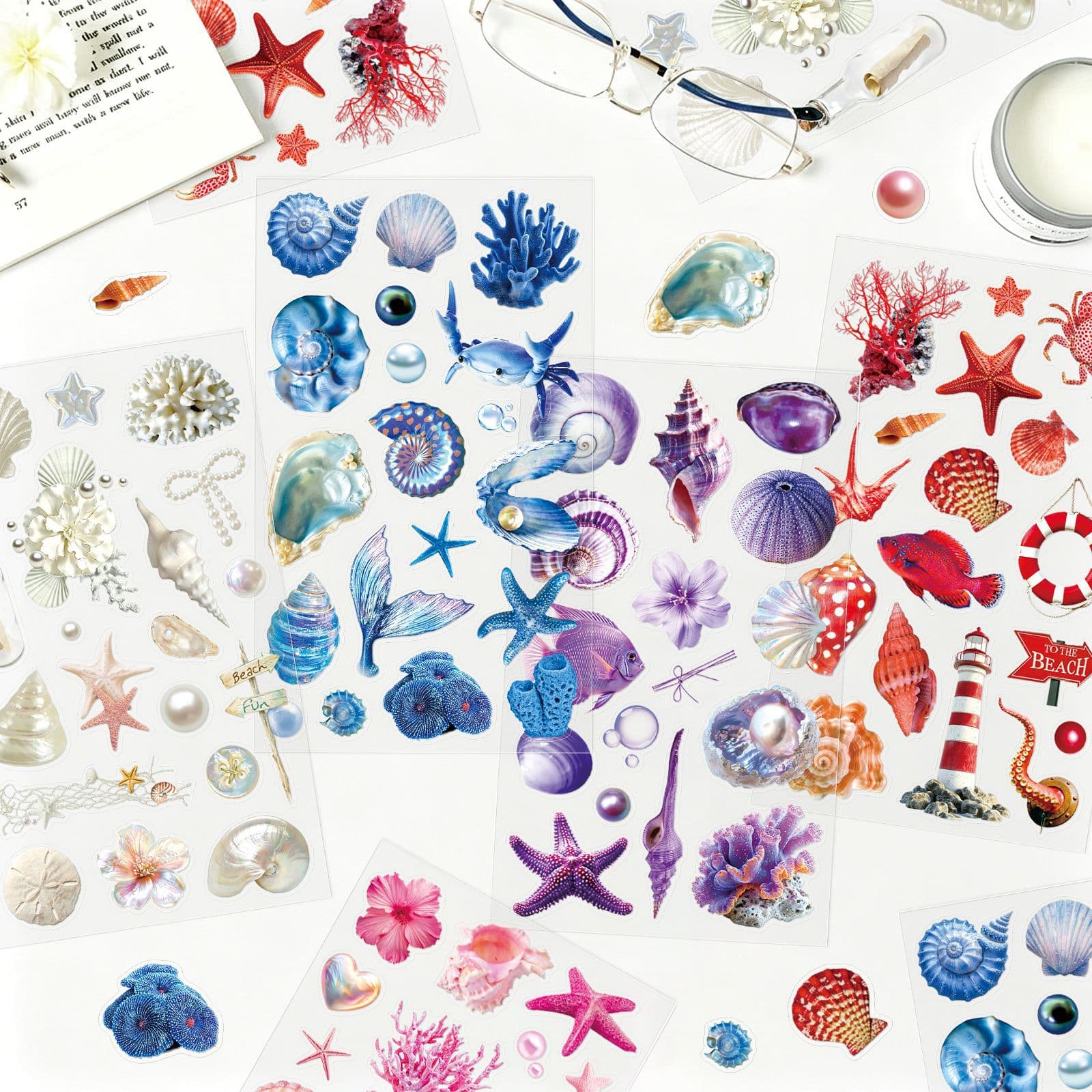 Transparent shallow sea letter PET sticker shell pearl ocean small fresh waterproof DIY landscaping handbook material sticker