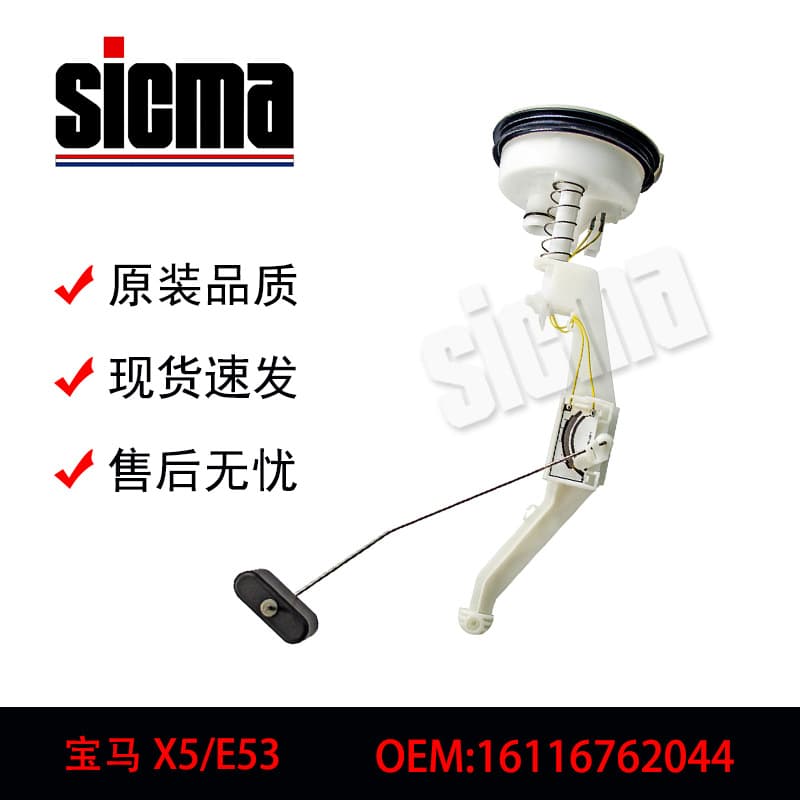 16116762044/16116752625/A Compatible with BMW X5/E53 Brand New Fuel Pump Assembly