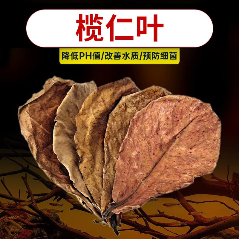 Indian Almond Leaves for Betta Fish Water Conditioner pH Balance Olive Leaves Aquarium Turtle Eco Simulation Landscaping