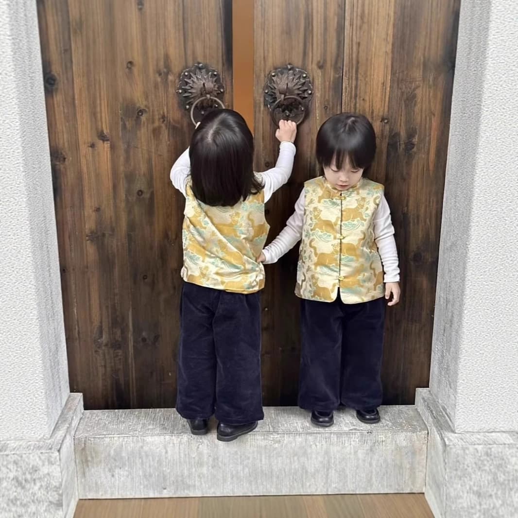 Boys' winter Tang suit vest, baby dress, toddler winter Chinese style New Year's greeting outfit, tiger-shaped five poisonous creatures