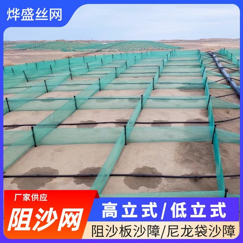 Nylon anti-sand net, sand barrier square net, sand-blocking net, low vertical row type sand-fixing barrier net, flat-woven sand blocking net