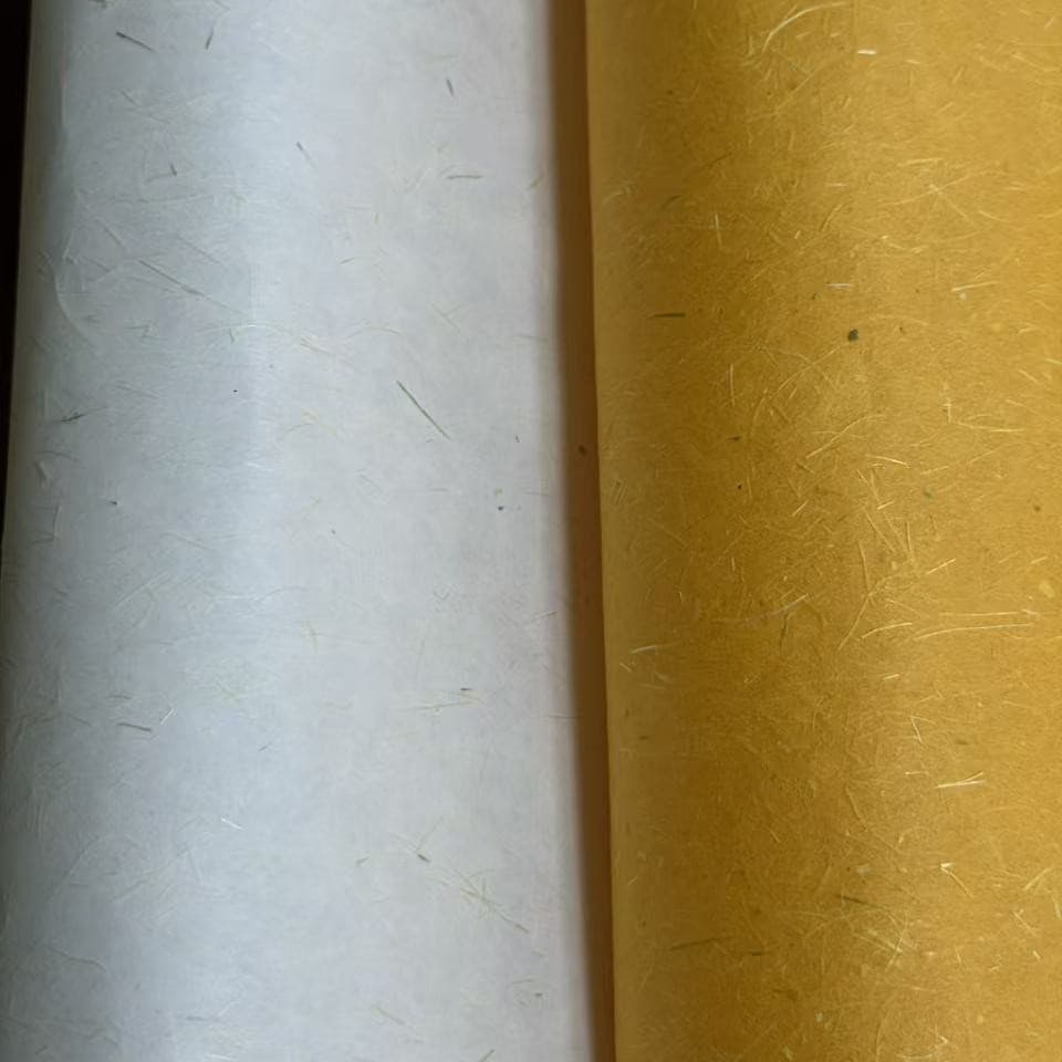 Eco-friendly ramie fiber paper