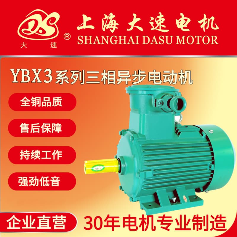 Shanghai Dasu YBX3 Series Explosion-Proof Three-Phase Asynchronous Motor, Mechanical Use Motor, Mining Explosion-Proof Motor