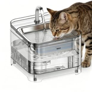 Pet Water Fountain Smart Cat Automatic Circulating Fountain Water Dispenser New Small Pet Cat Dog Supplies Factory