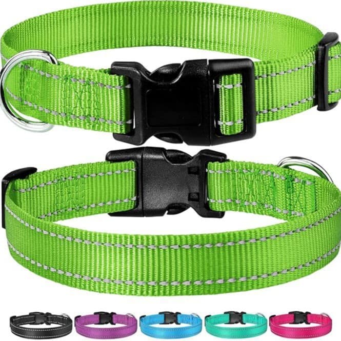 Adjustable Pet Leash and Collar Reflective Dog Collar Anti-Choking Cross-Border Cat Collar Leash Explosive Charge