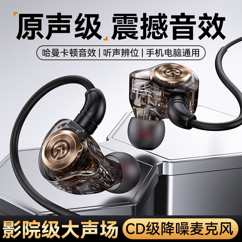 Metal Decorative High-End Sports Earhook Wired Earphones Type-C Digital Decoding Universal Earphones