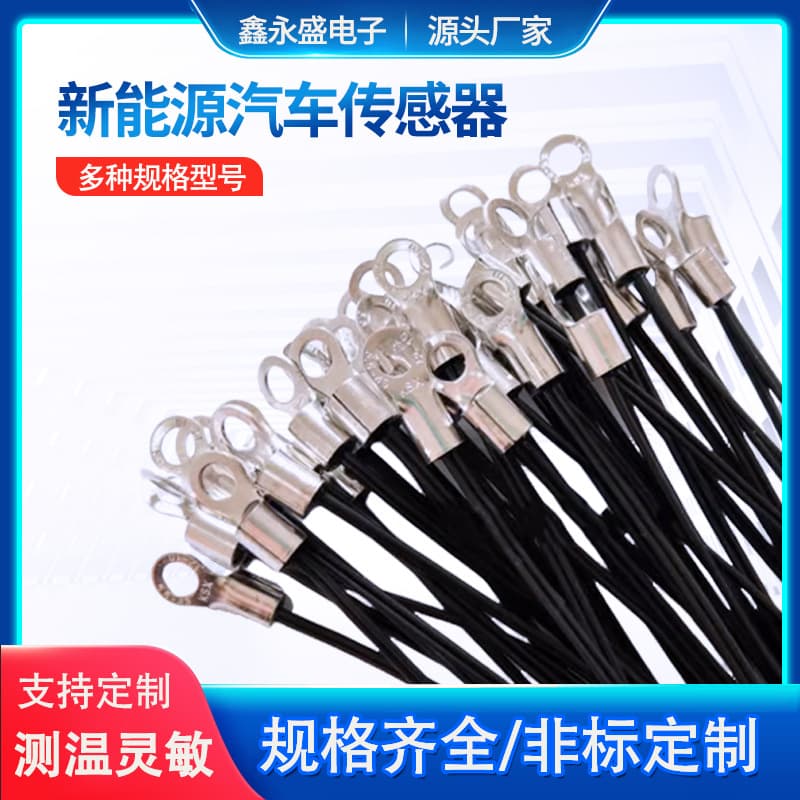 Platinum Thermal Resistance Temperature Probe Pt100 Temperature Sensor New Energy Household Appliances NTC Temperature Sensor