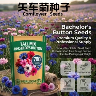 Cross-border E-commerce Stock Cornflower Seeds Mixed Sowing Four Seasons Easy to Grow Colorful Packaging Factory Direct