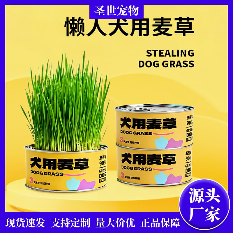 Dog Grass Wheatgrass for Dogs Edible Grass Soilless Dog Grass Treats for Shedding Promotes Digestion