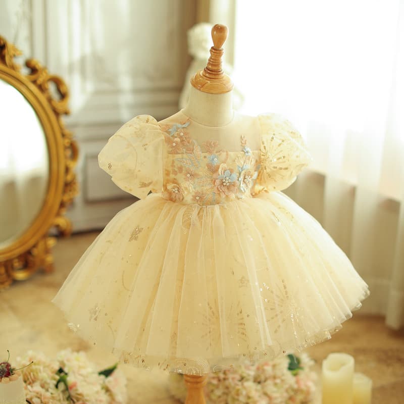 Children's princess dress, girl's tutu skirt, flower girl's small dress, first birthday party catwalk, piano evening dress new style