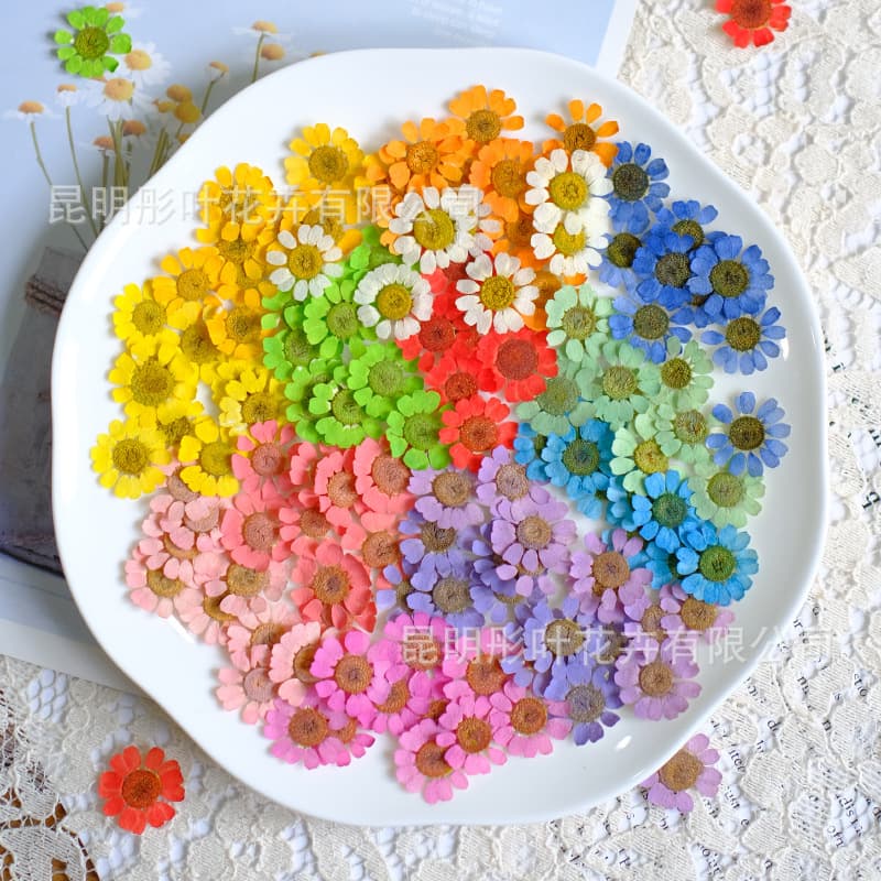 Chamomile pressed flower mixed dried leaf pack for resin craft, pressed real flowers for beauty face decoration