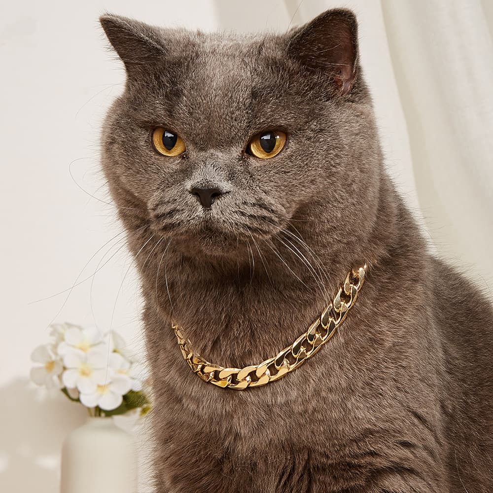 Wholesale pet necklace for cross-border supply, cute original trendy cat necklace and dog necklace