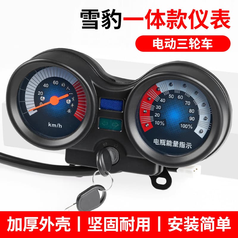 Load-Bearing 48V Instrument Panel Gauge Assembly for Tricycle, Electric Vehicle Hercules Battery and Speedometer Display