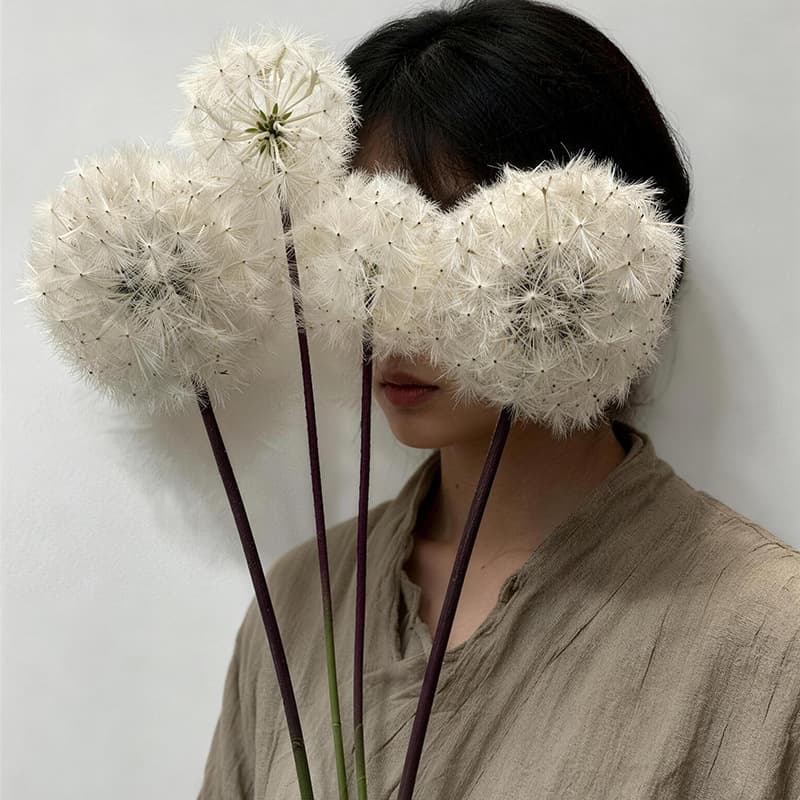 Dandelion Artificial Flowers for Home Living Room Decoration, Model Room, Hotel, and B&B Faux Dandelion Landscape Photography Props