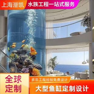 Transparent Acrylic Fish Tank Giant Acrylic Fish Tank Acrylic Fish Tank Fabrication Large Acrylic Fish Tank Design