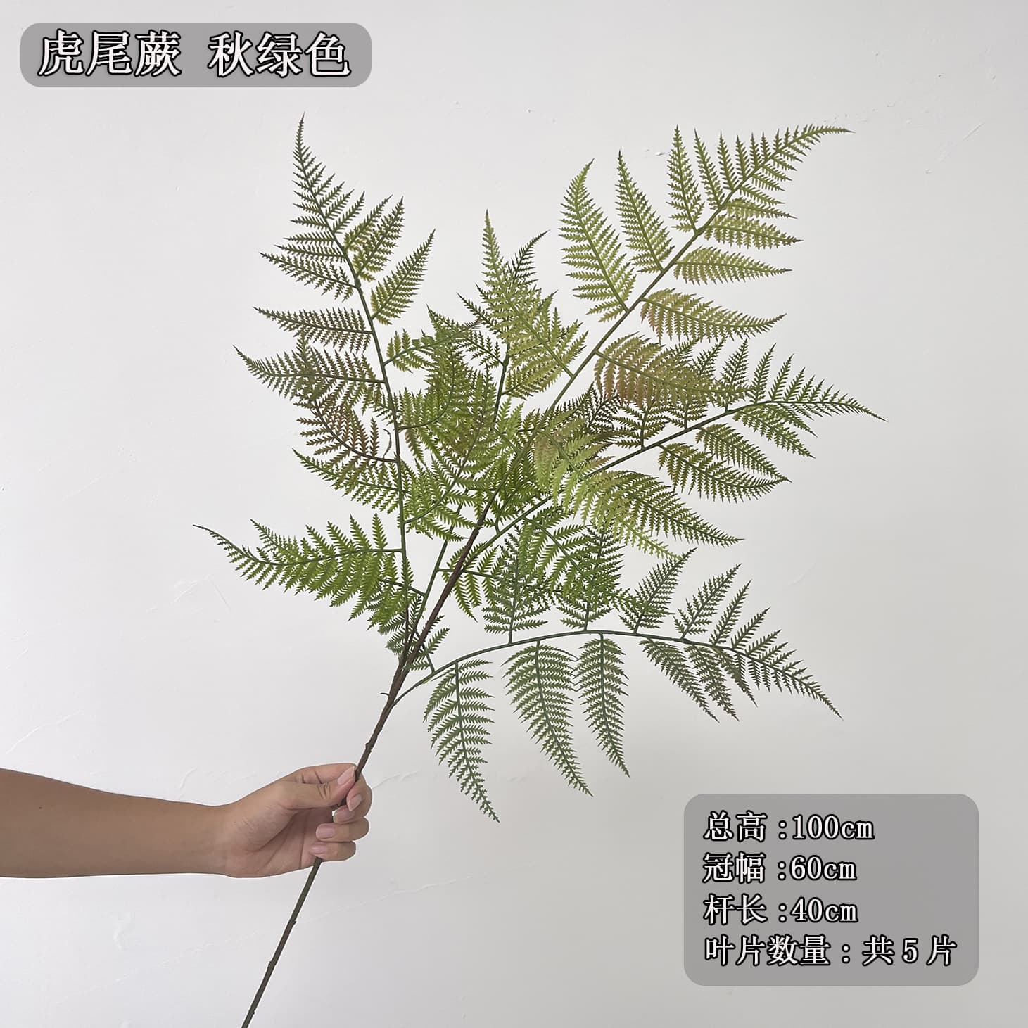 Natural Zen landscaping simulated golden monkey fern Landscape floral decoration simulated green plants tiger tail fern autumn green