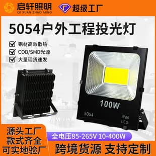5054 Floodlight Outdoor Engineering Light 100W Full Wattage LED Wide-Angle Light Waterproof Tree Lighting Black Diamond Projection Light