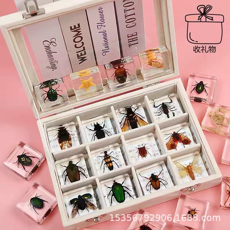 Small animal and insect specimens in resin, marine animal amber specimens featuring scorpions, spiders, ants, crabs, and golden tortoise beetles.