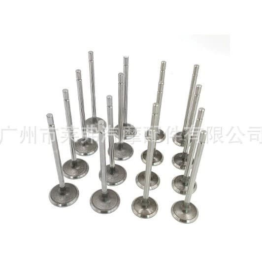 Valve set for Nissan Platina Aprio Clio Kangoo 1.6 16V