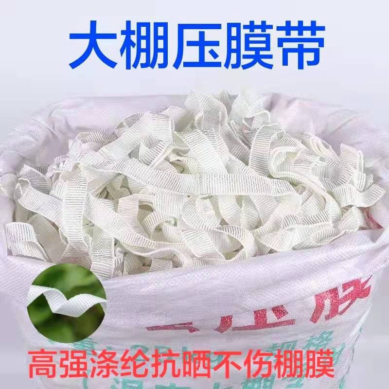 Greenhouse film pressing tape, high-strength film pressing line, white polyester film pressing rope, special film pressing tape for greenhouse vegetables.