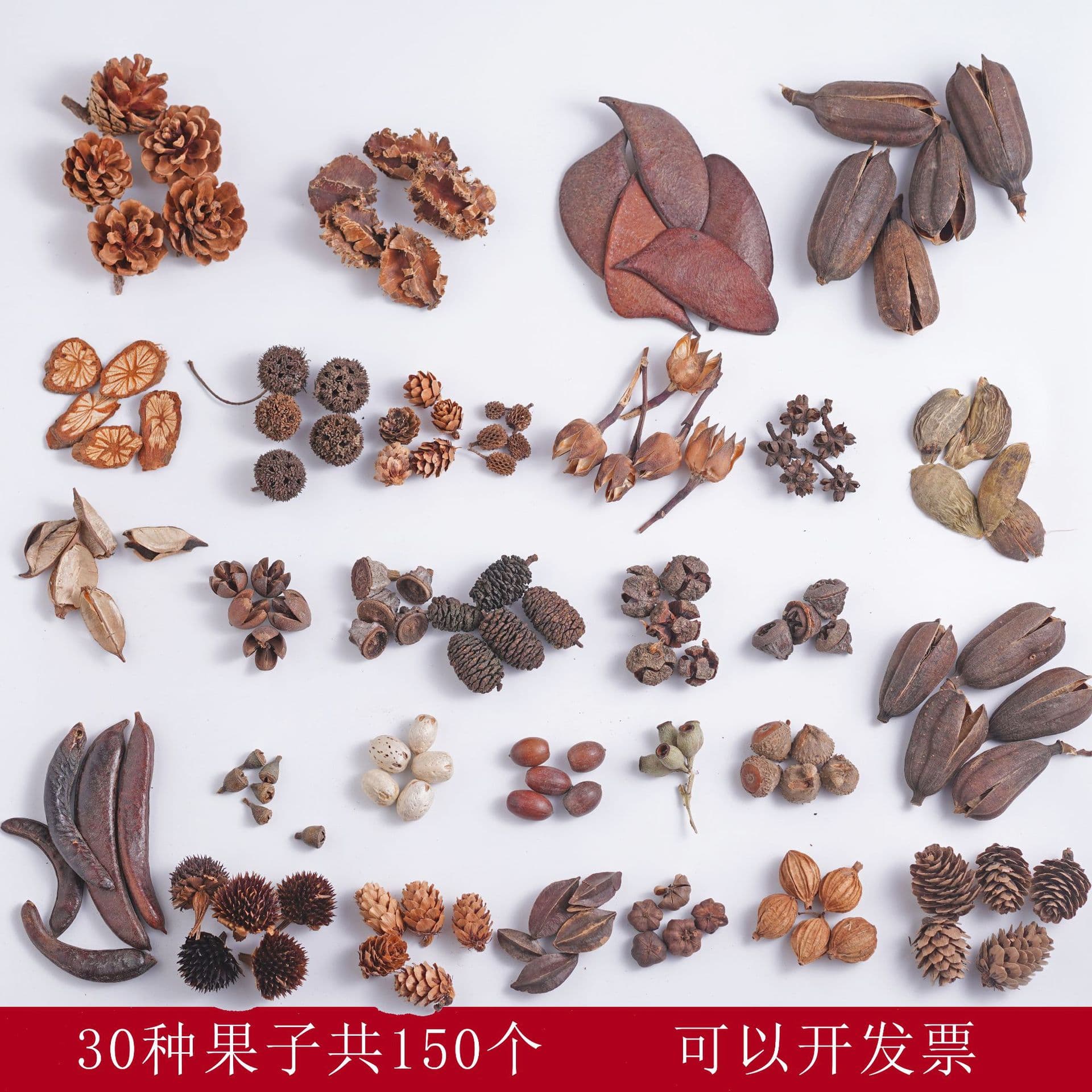 Handmade DIY Fruit 30 Types 150 Pieces Natural Acorns Pinecones Kindergarten Environment Creation Material Pack Photography Props