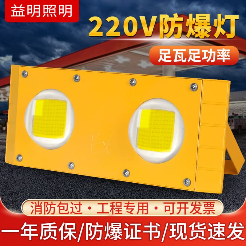 Tunnel LED Explosion-Proof Light, Warehouse Outdoor Light 100W, Gas Station Marine Low Voltage 24V 12V 36V Floodlight