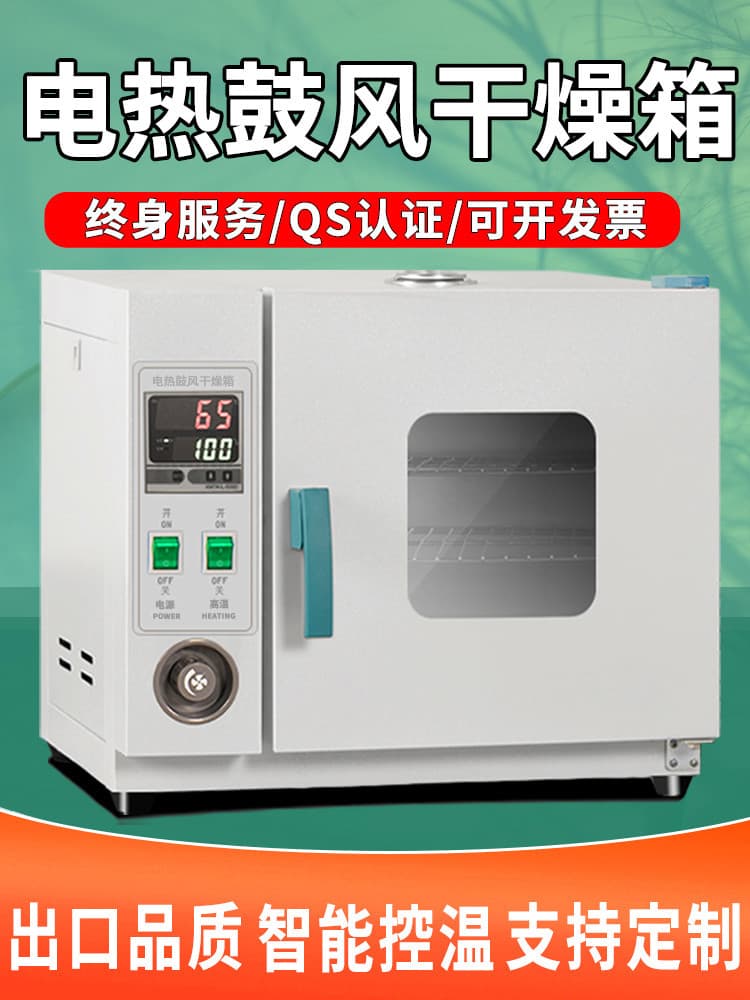 Electric Heating Constant Temperature Blast Drying Oven, High-Temperature Heating Small Industrial Oven, Medical Dryer, Laboratory Oven