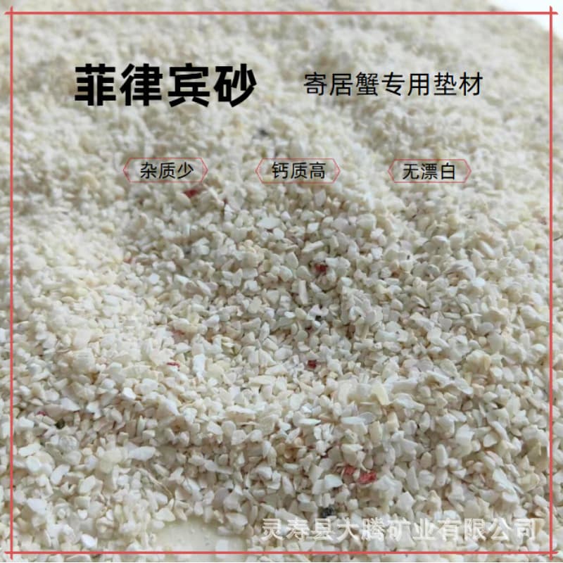 Natural Hermit Crab Aquarium Substrate Philippine Sand Shell Sand Sea Sand Aquarium Landscape Decoration Cichlid Hermit Crab Sand