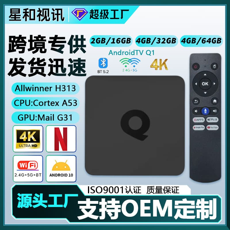 Cross-border new product Android 10.0 dual-band smart voice player ATV network set-top box H313 box TVBOX
