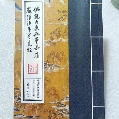 The Infinite Life Sutra: Large Print, Pinyin, Vertical Layout, Traditional Character Edition