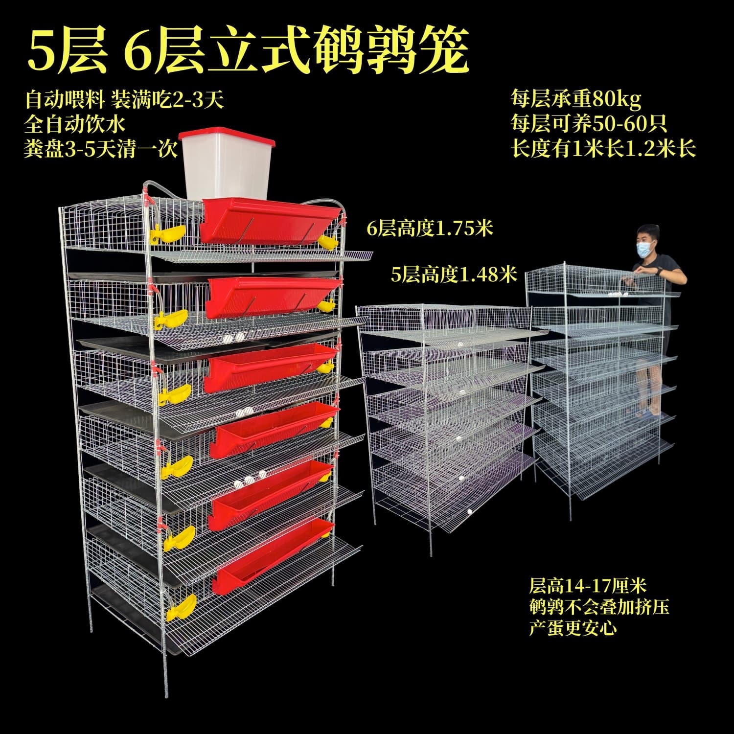 H-Type Vertical Laying Quail Cage, 6 Layers, with Automatic Manure Cleaning, Feeding, and Watering, Thickened and Dense Quail Laying Cage