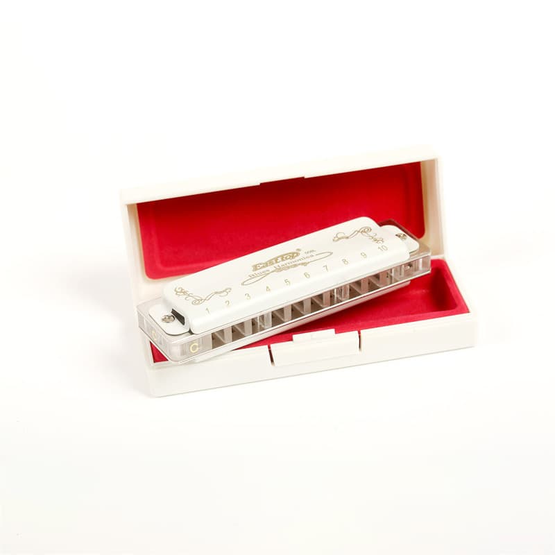 East top Dongfang Ding 10-hole blues professional playing harmonica plastic box T008L foreign trade gift