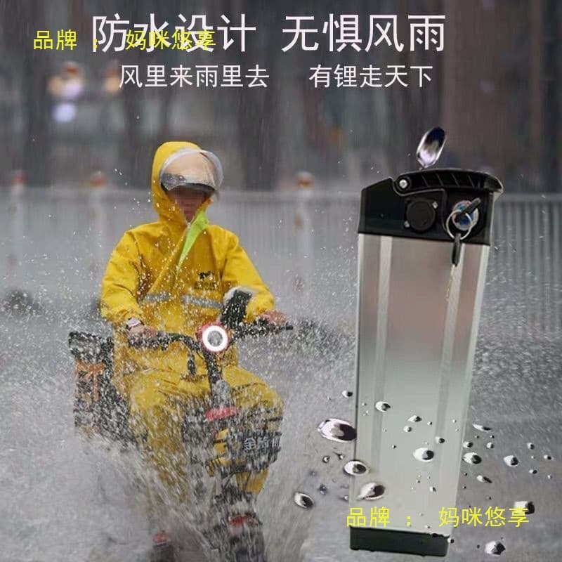 48V Universal Lithium Battery with Ultra-long Endurance, High Capacity for Food Delivery and Ride-hailing Electric Foldable Bikes, Includes Charger