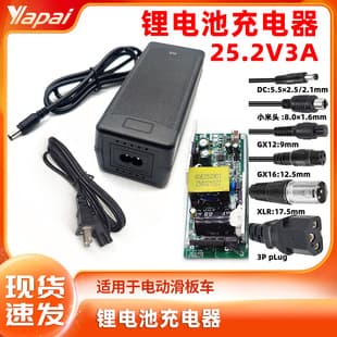 Electric Vehicle Charger, 18650 Polymer Smart 18650 Battery Charger, 25.2V 3A Lithium Battery Charger