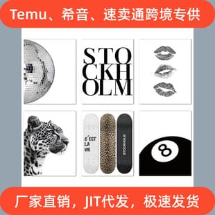 Temu Shein AliExpress Hot Selling Decorative Painting Modern Minimalist Poster Home Decor Canvas Art Print