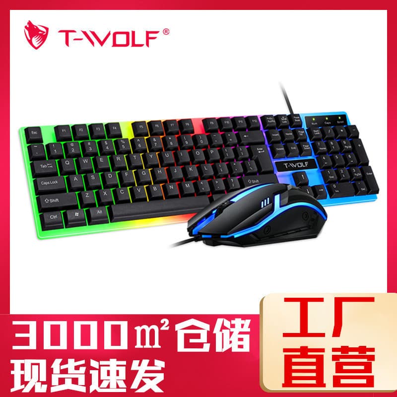 LeiLang TF230 Keyboard and Mouse Set, Rainbow Glow Gaming Keyboard and Mouse Combo with Mechanical Feel, for PUBG and Office Accessories