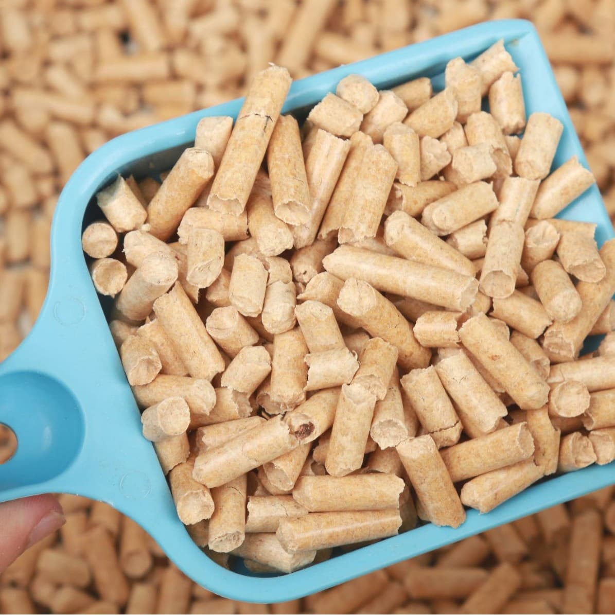 Manufacturer sells biomass pellets for boiler, fireplace heating, outdoor fuel