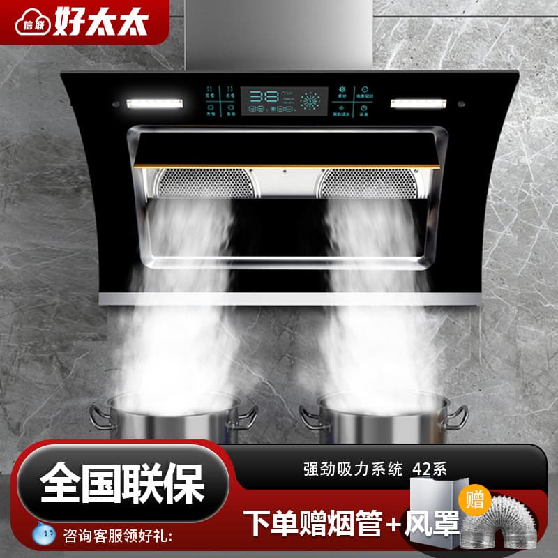 Goodwife Dual Motor Range Hood for Kitchen Use, High Suction Power, Self-Cleaning, Side Suction, Small Range Hood