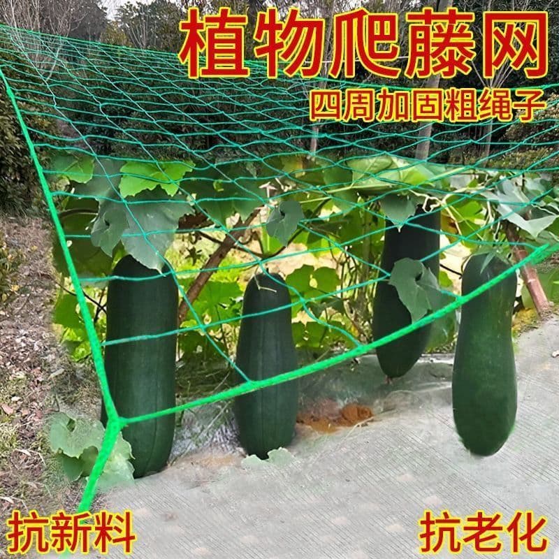 Plant Climbing Net for Chrysanthemum, Passion Fruit, Loofah, Hanging Melon, Beans, Grapevines - Garden Trellis Support Net
