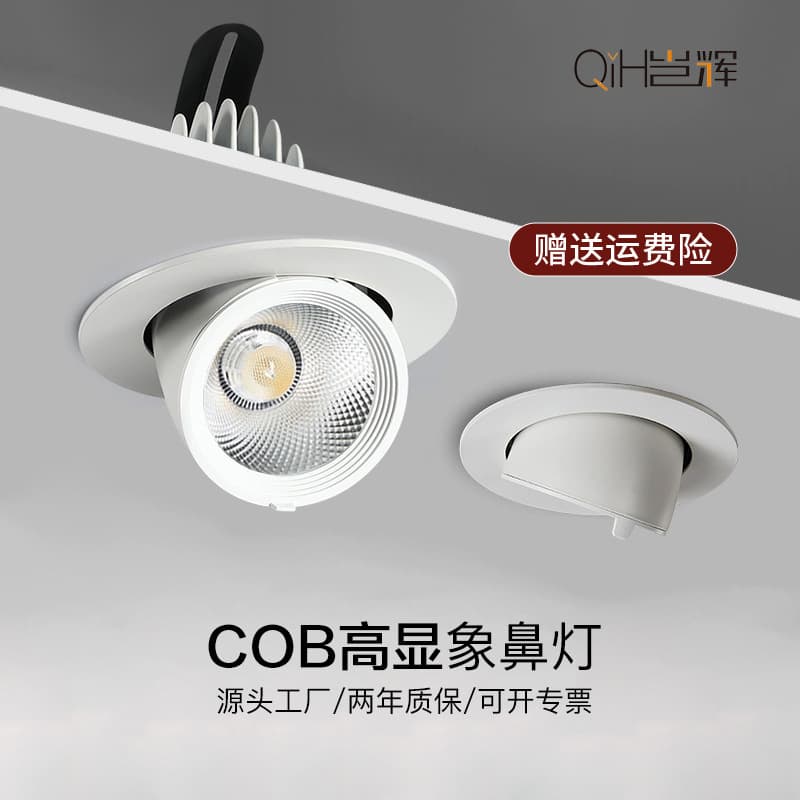 Embedded COB Adjustable LED Ceiling Downlights for Clothing Stores, Living Room Eyeball Lights, Shoe Store Wall Washers