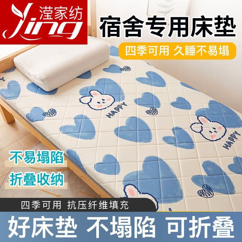 Mattress for Student Dorm Single Soft Pad, Tatami Thin Cushion Underlay Sleeping Pad Bedding Foldable Supply Chain