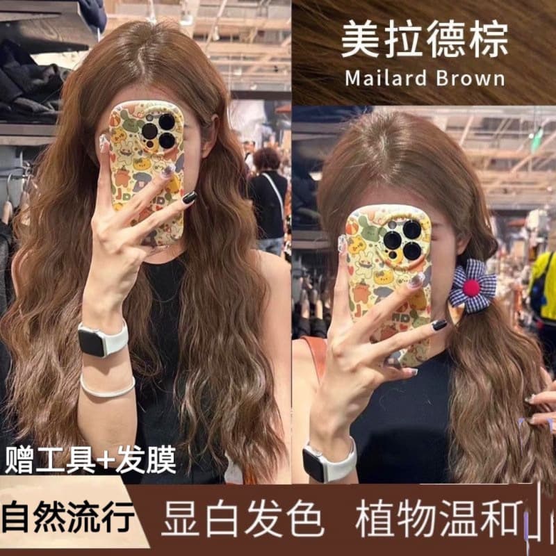 Maillard Brown Hair Dye 2024 Trendy Color At-Home Hair Dye for Women Plant-Based Hazelnut Gray Brown No Bleach Flattering