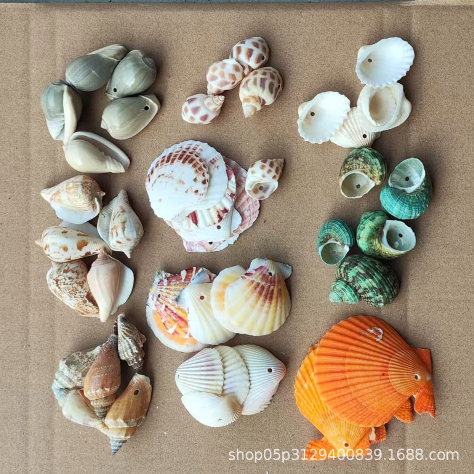 Natural conch shell punched conch shell wind chime DIY handmade materials children's creative handmade wind chime production