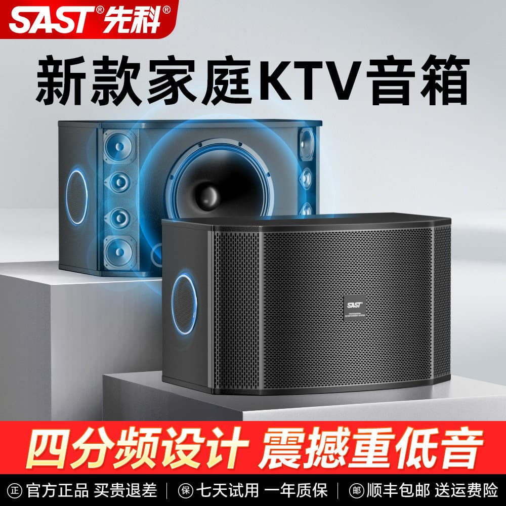 SAST Home KTV Audio Professional Singing Karaoke Conference Stage Wall-Mounted 10-Inch 12-Inch K-Song Speaker