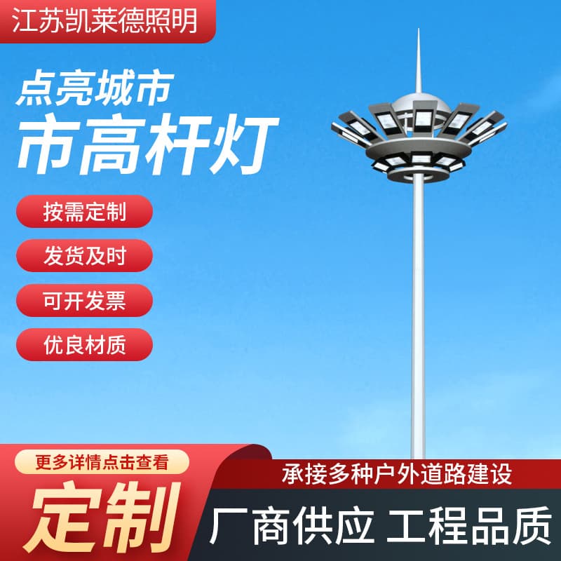 Outdoor Court Lights Park Residential Area Road Lighting New Rural Courtyard High Pole Street Light Supplier