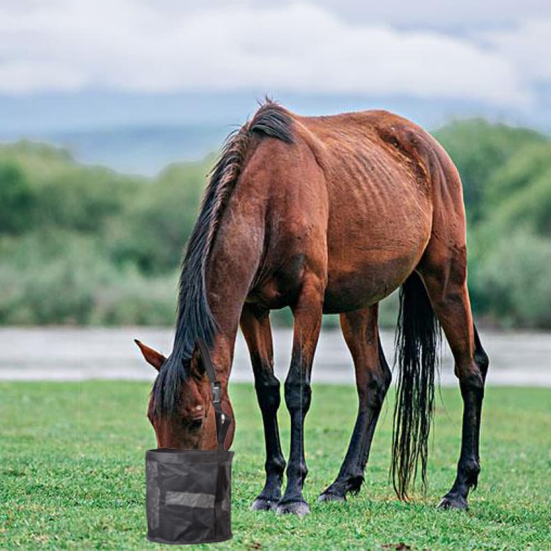 Adjustable Horse Feed Bag Slow Feeding Net Eye Design Prevents Spillage Durable Polyester Material For Horse Feeding