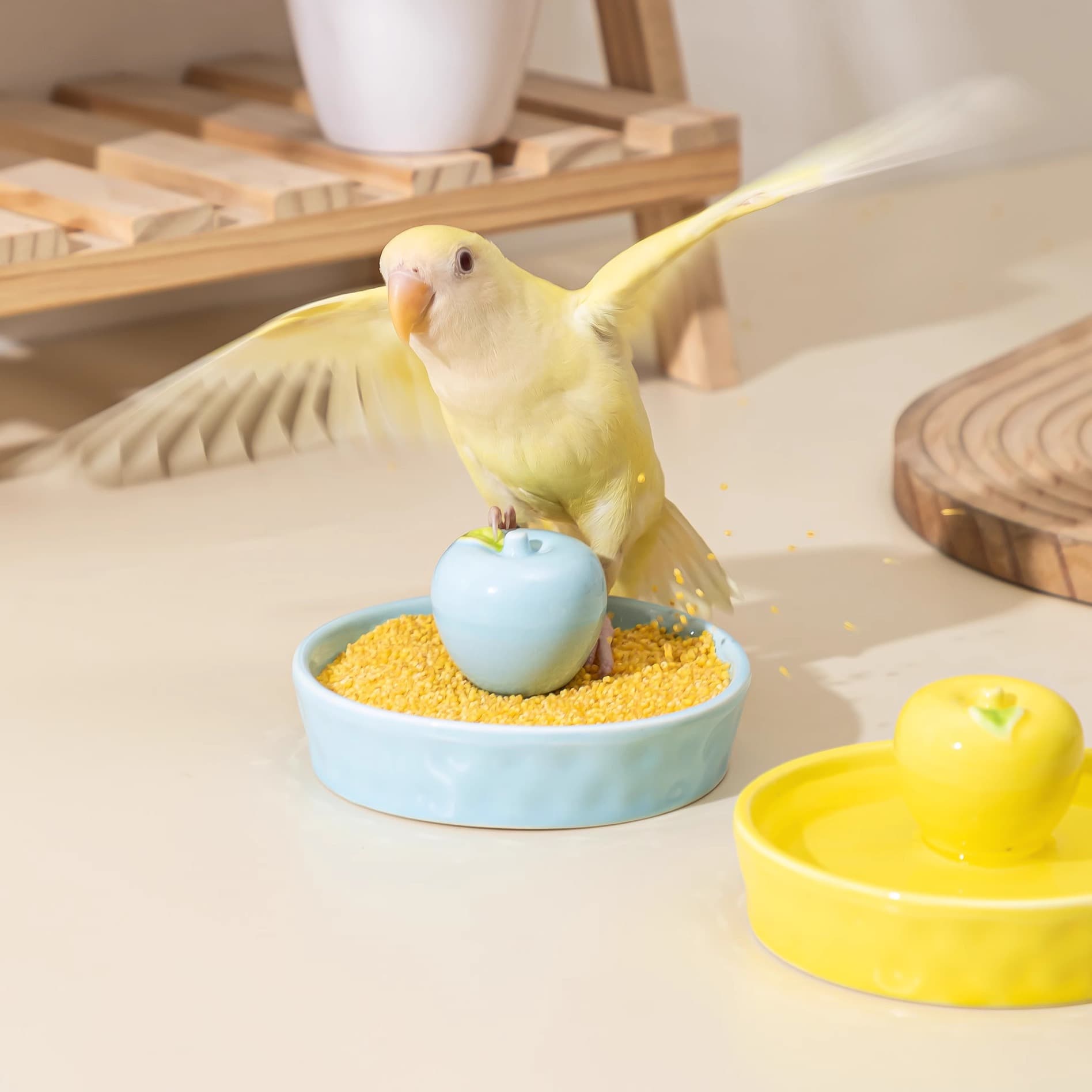 Parrot Ceramic Food Bowl, Anti-Spill Bird Food Container for Young Birds Learning to Eat, Water Bowl, Food Box, Cockatiel Parrot Cage Accessories
