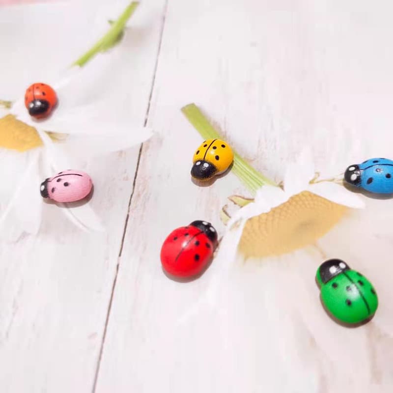 Miniature Landscape Accessories, Succulent Ornaments, Wooden Craft Beetle, Seven-Spot Ladybug Wholesale