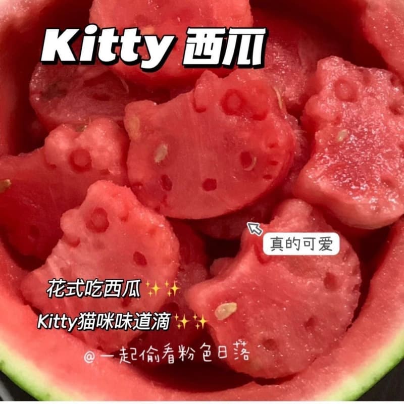 Xiaohongshu Kitty Cat Mold Food-Grade Watermelon Cookie Mold DIY Press Tool for Home Baking